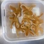 Best Cream Cheese Wonton (8) in Las Vegas, NV